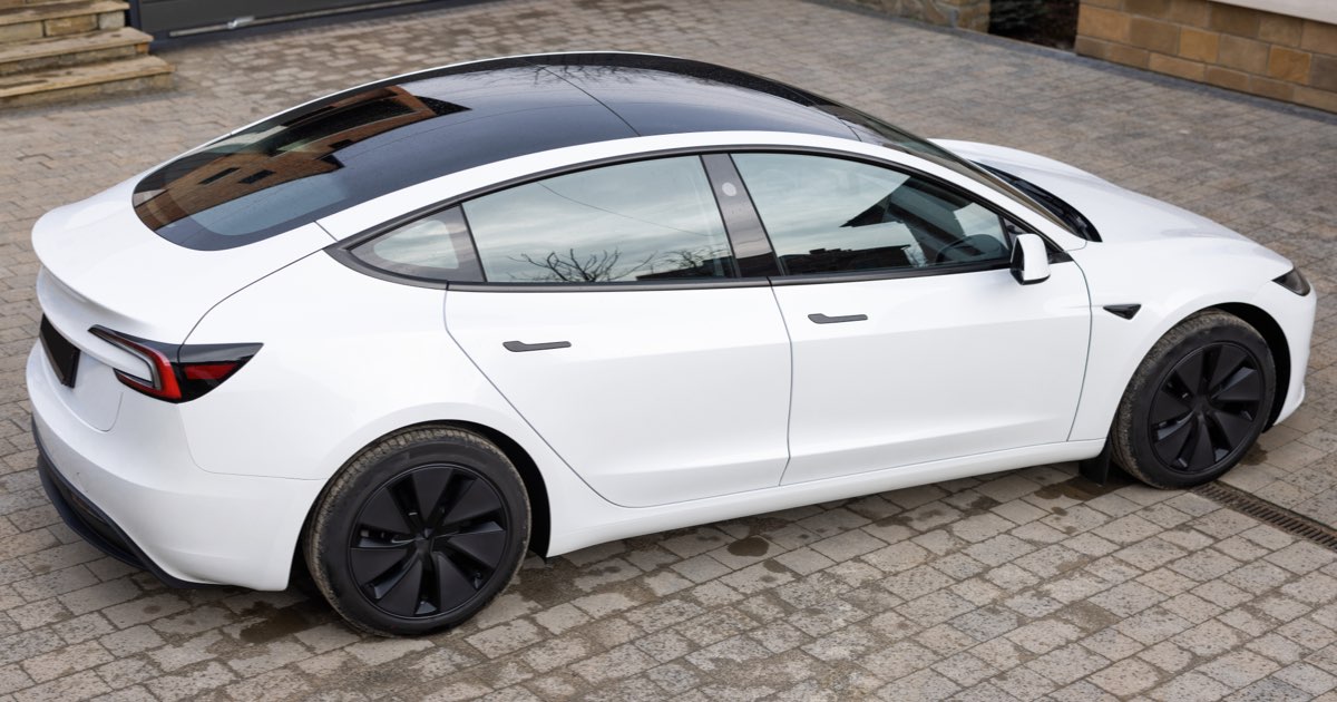 
			Bela tesla
		