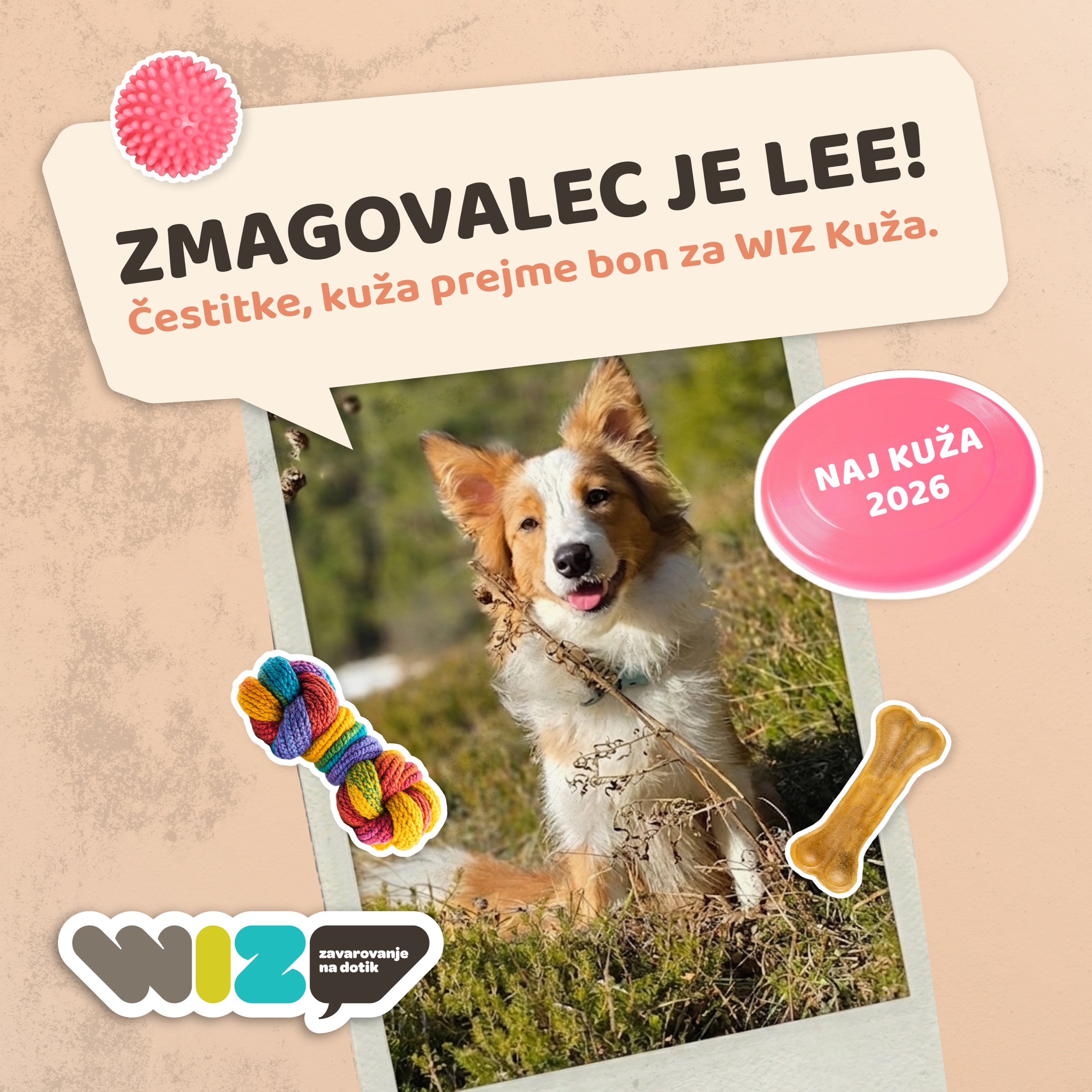
			wiz naj kuža 2026, kuža LEE
		