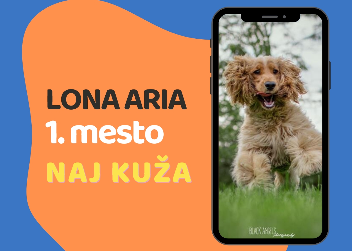 
			naj kuža 2025
		