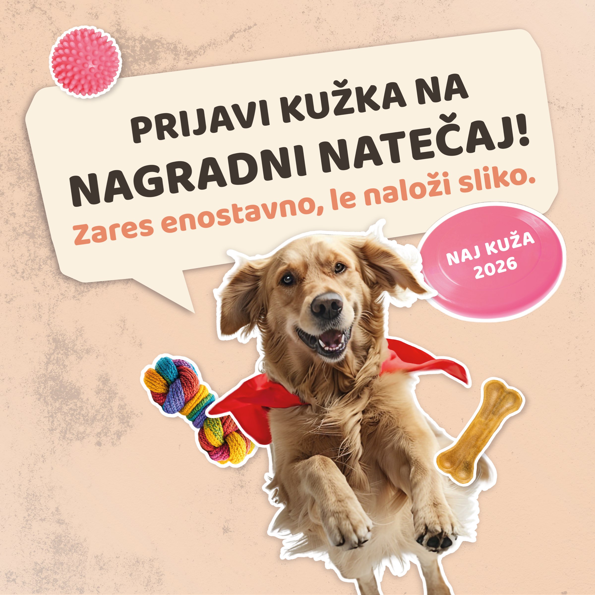 wiz naj kuža, zlati prenašalec