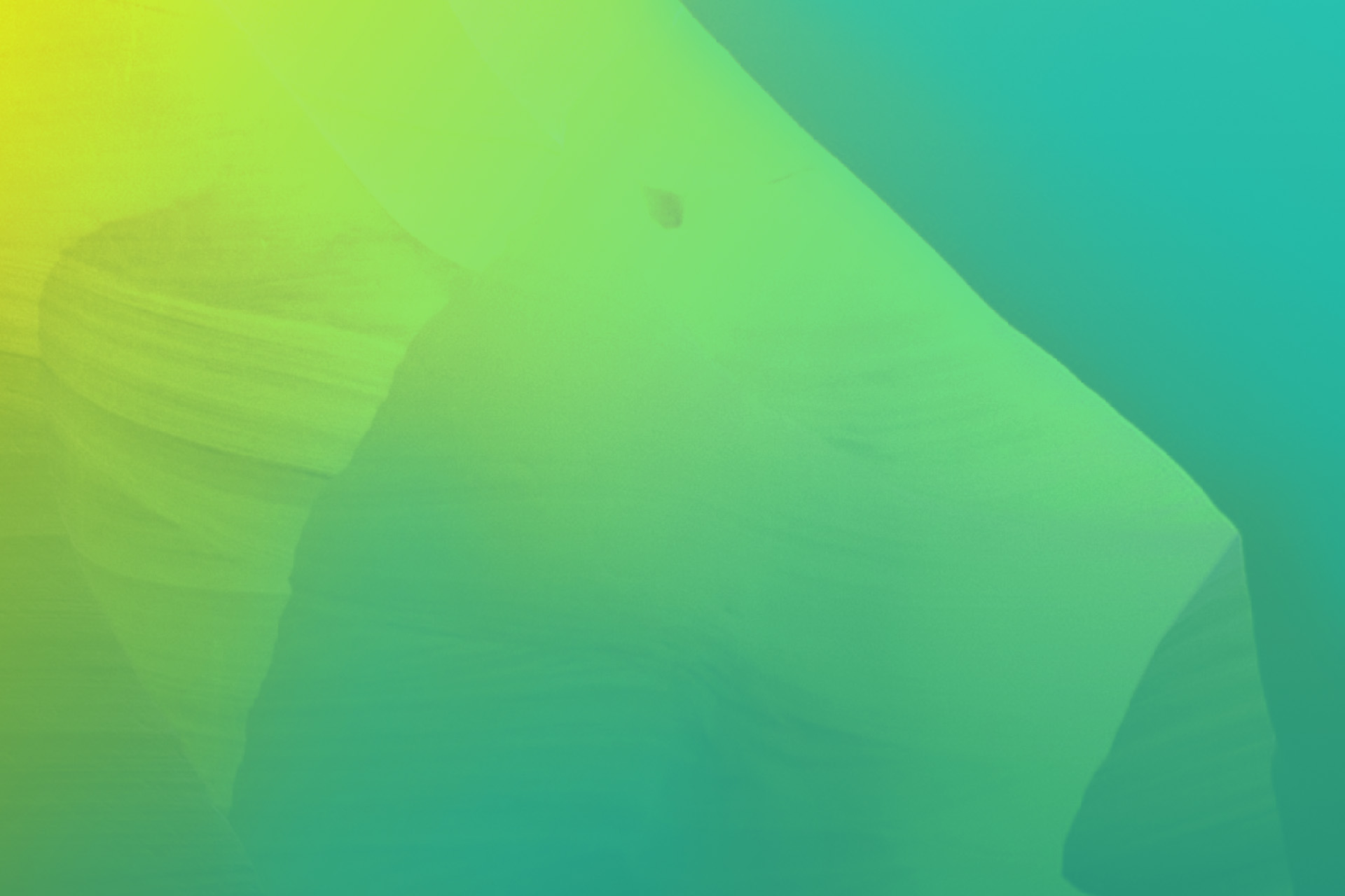 VPRAŠALNIK WIZ AVTO -9%