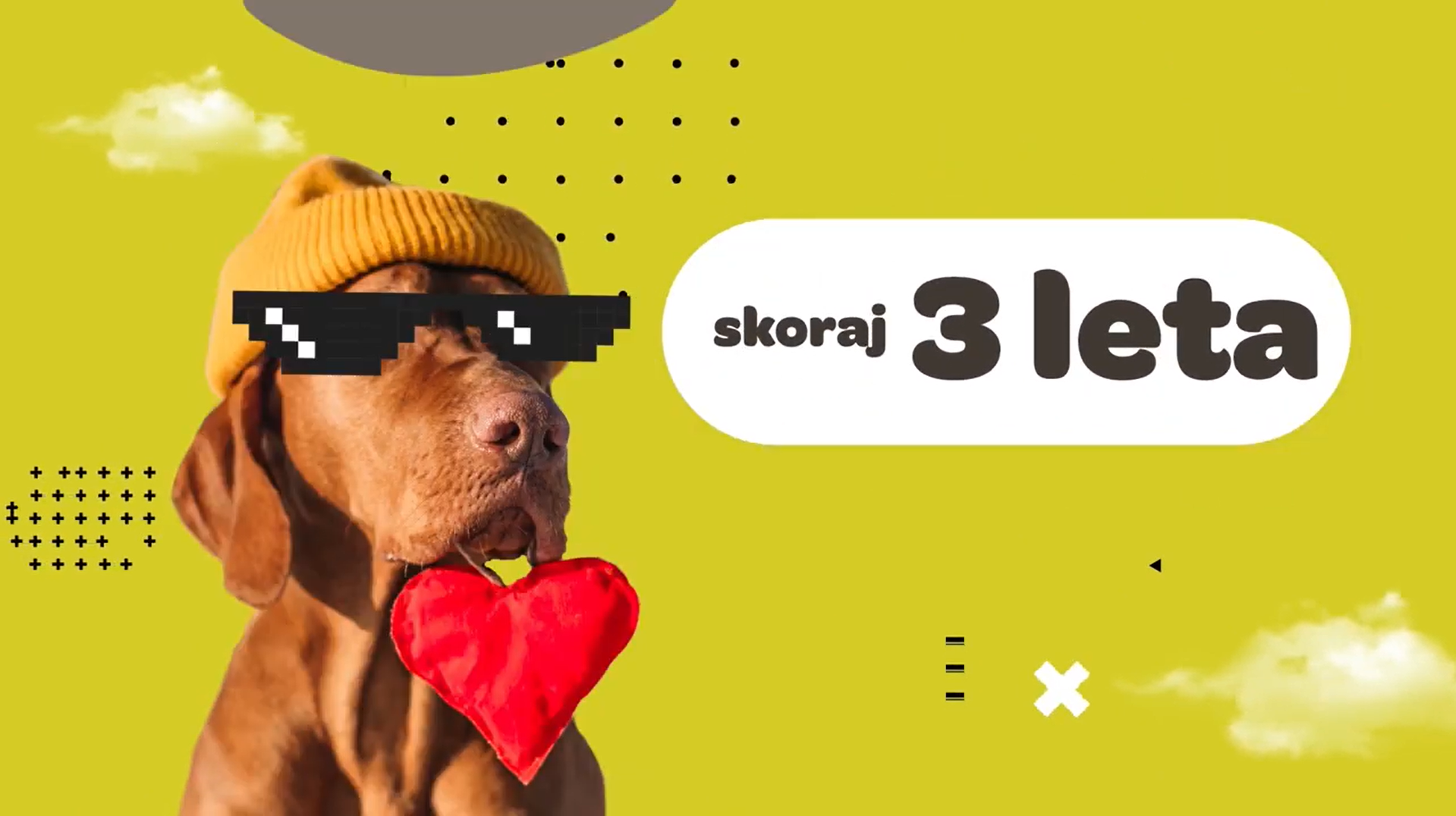 obnova kuža s srčkom in očali