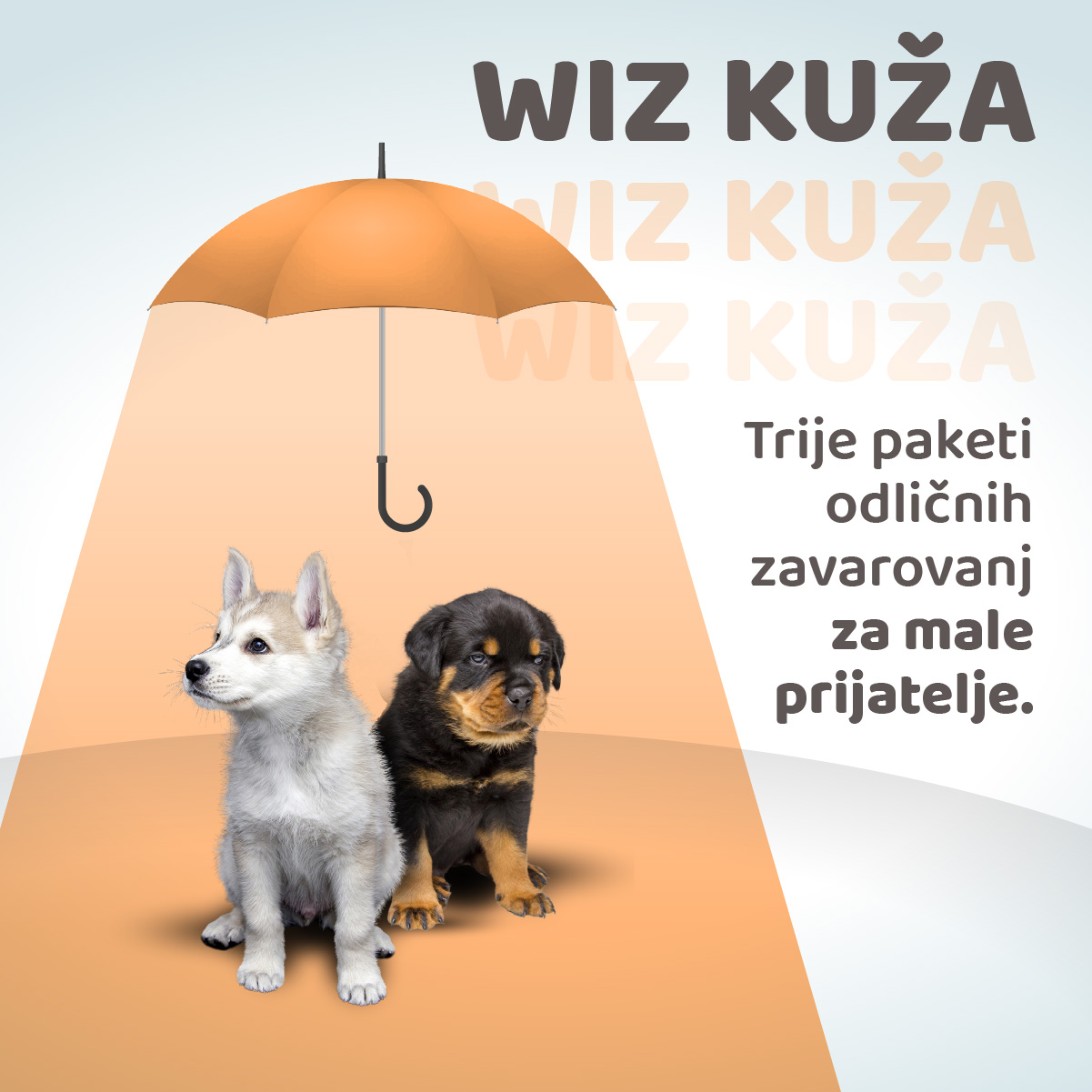 Zavarovanje WIZ Kuža