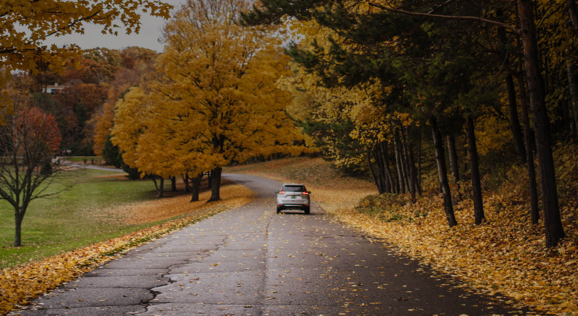 avto na cesti, jesen, wiz blog