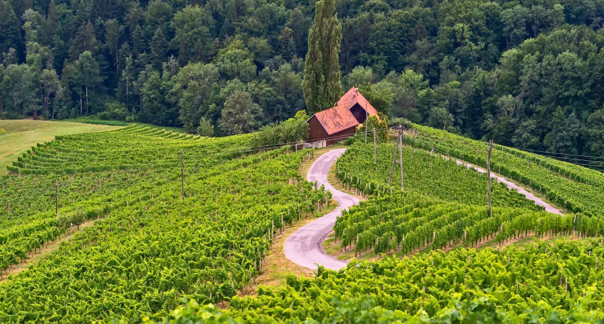 Špičnik - cesta v obliki srca