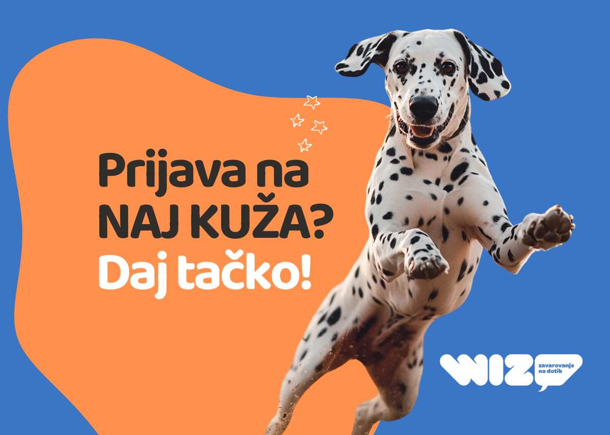 naj kuža 2025, natečaj wiz