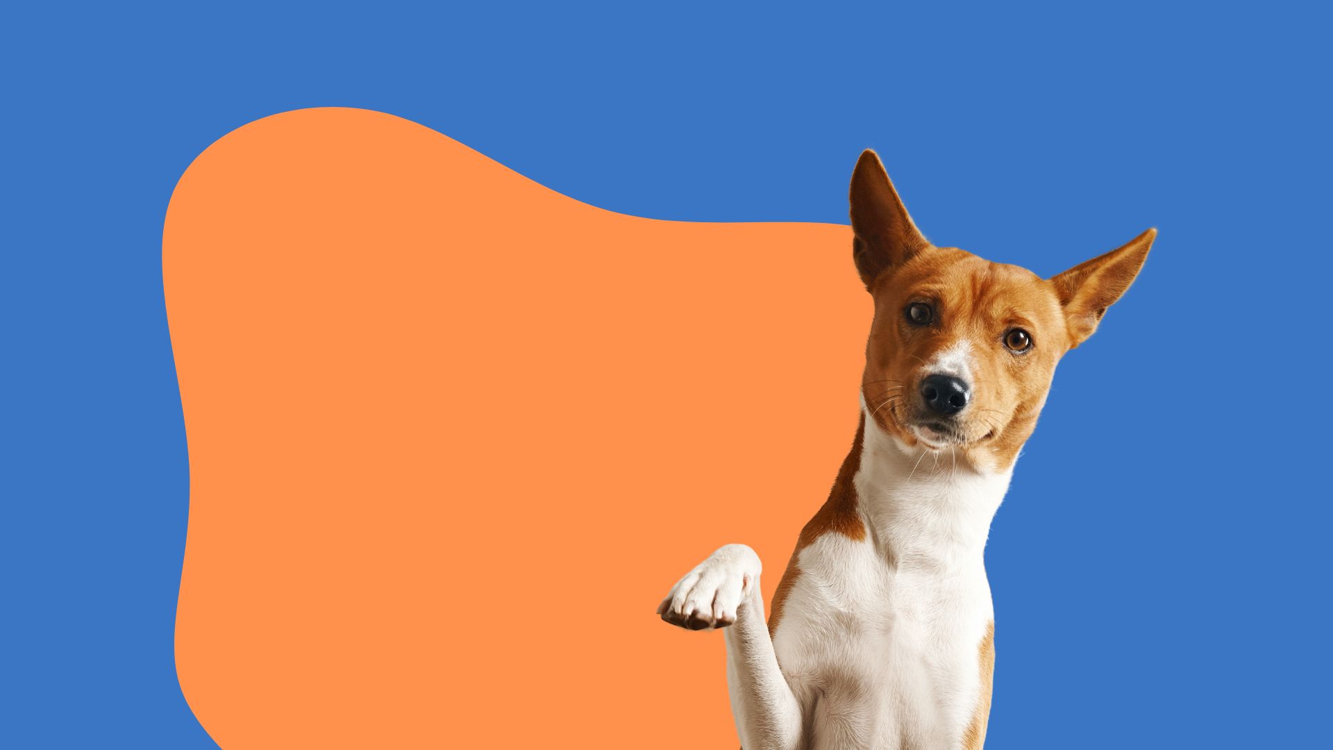 Nagradni natečaj WIZ Naj kuža 2025