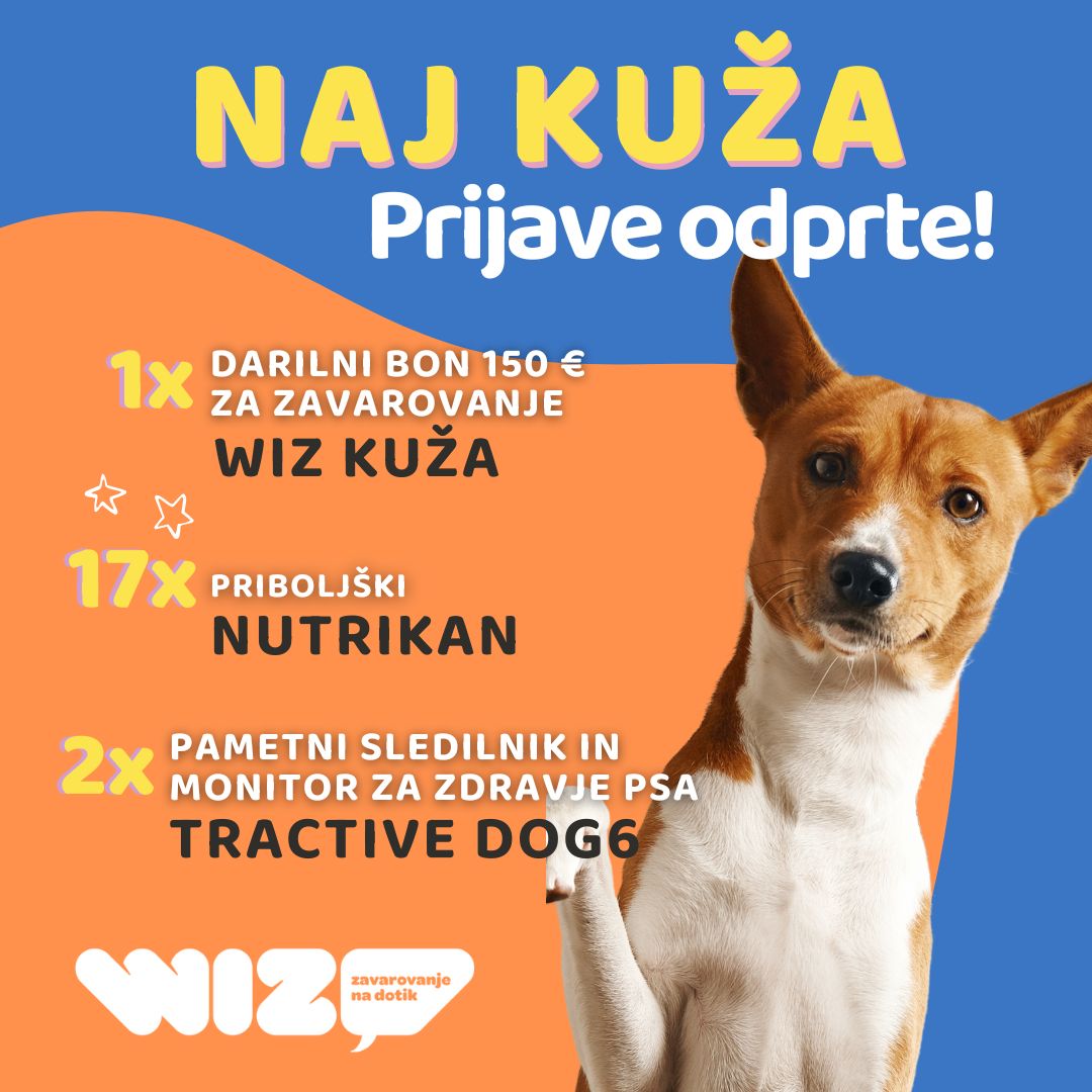 naj kuža 2025, natečaj wiz