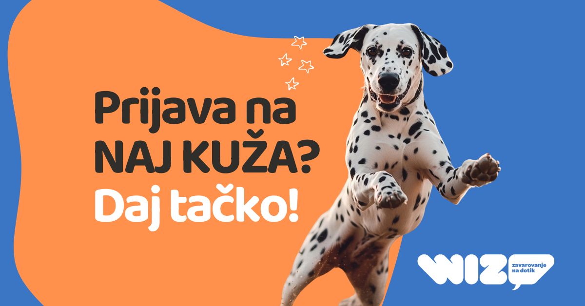 naj kuža 2025, kuža moli tačko