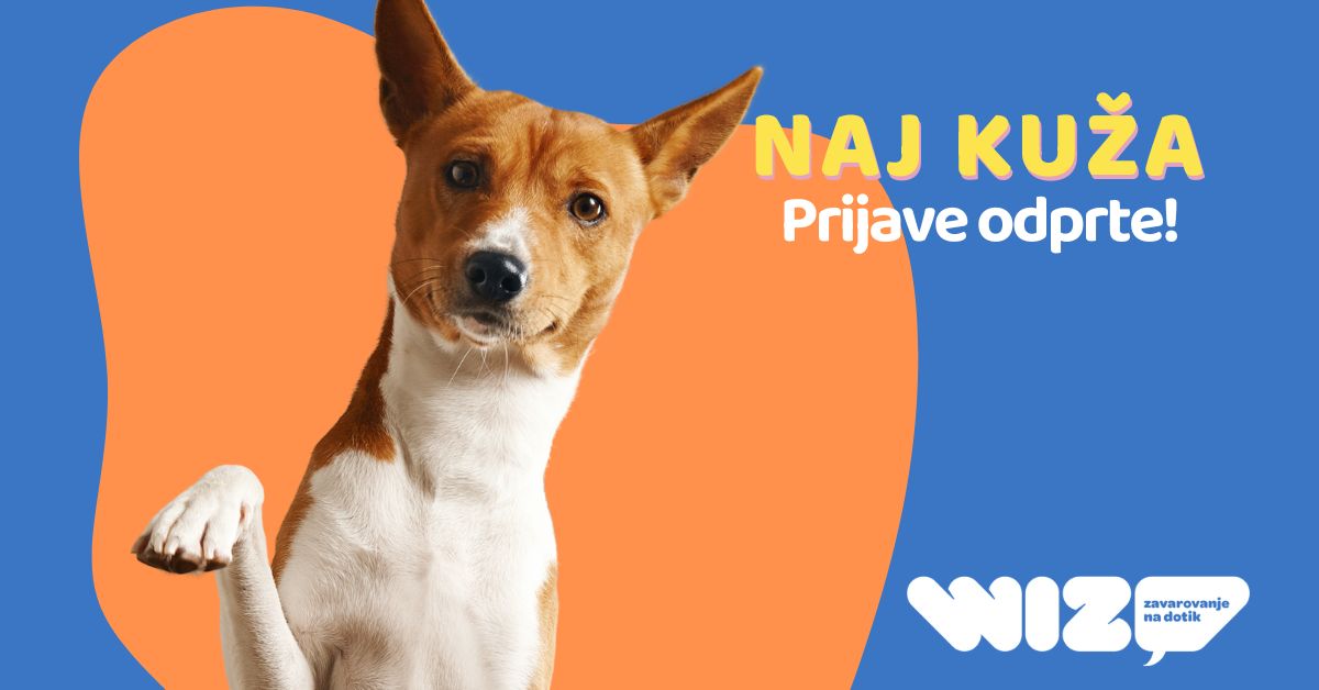 naj kuža 2025, kuža moli tačko