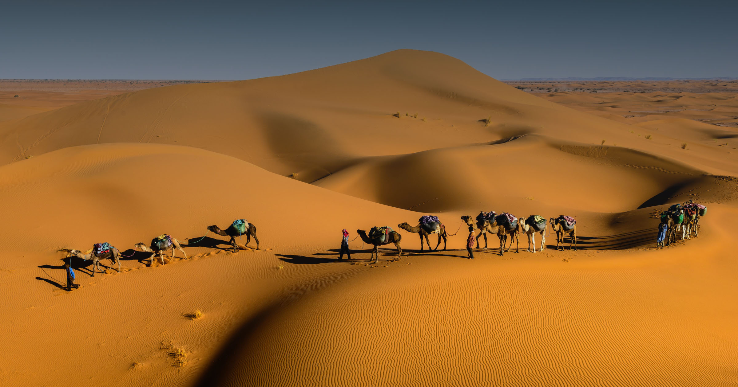 sahara, kamele, potovanja, wiz blog, wiz tujina